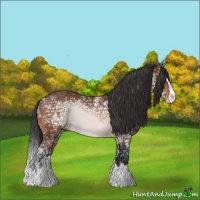 Horse Color:Bay Ice Splash 