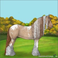 Horse Color:Red Dun Tobiano Rabicano