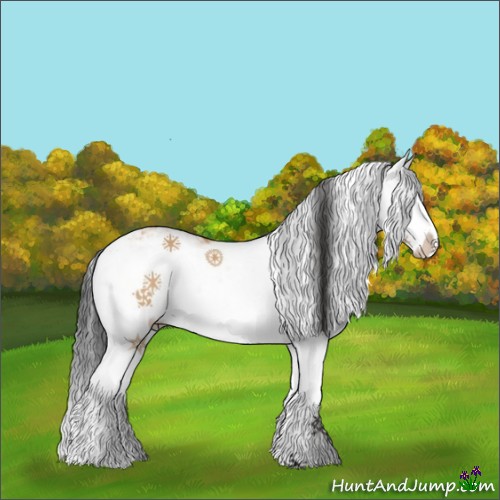 Horse Color:Bay Dun Sabino Splash 