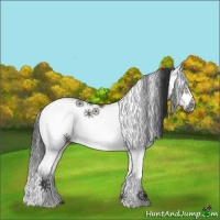 Horse Color:White Spotted Grullo Splash Frame 