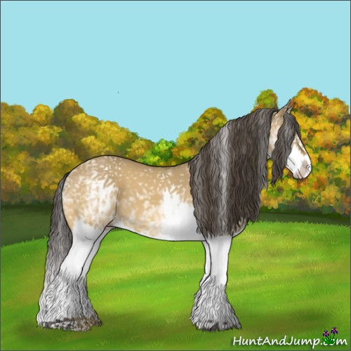 Horse Color:White Spotted Buckskin Dun Splash 