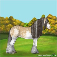 Horse Color:White Spotted Buckskin Dun Splash 