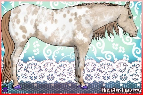 Horse Color:Smoky Black Ice Pearl Appaloosa 
