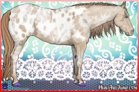 Horse Color:Smoky Black Ice Pearl Appaloosa 