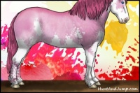 Horse Color:Watercolor Liver Chestnut Sabino Splash Varnish Rabicano 