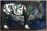 Horse Color:Black Ice Appaloosa 