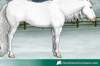 Horse Color:Silver Classic Champagne Tobiano Varnish 