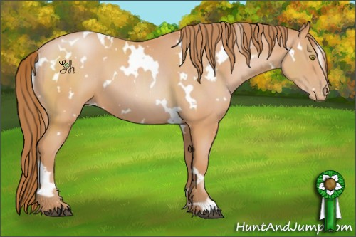 Horse Color:White Spotted Bay Pearl 
