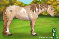Horse Color:White Spotted Bay Pearl