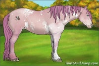 Horse Color:Watercolor White Spotted Smoky Black Pearl