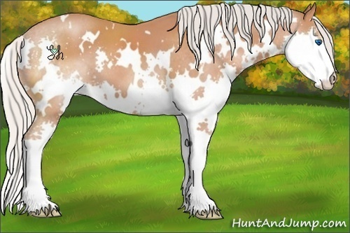 Horse Color:White Spotted Silver Brown Splash