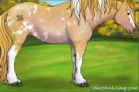 Horse Color:Watercolor White Spotted Liver Chestnut 