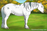 Horse Color:Watercolor Black Ice Sabino 