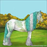 Horse Color:Watercolor White Spotted Bay Ice 