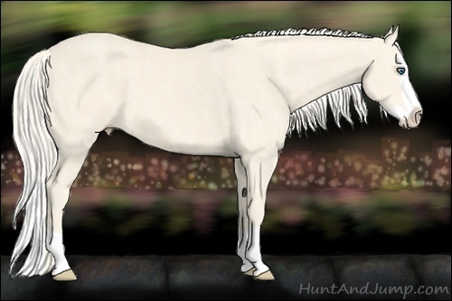 Horse Color:Cremello Splash Brindle