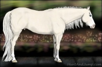 Horse Color:Cremello Splash  Brindle