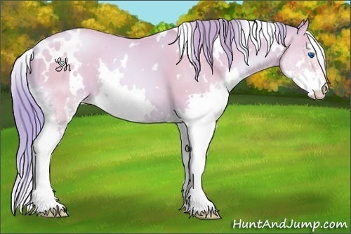 Horse Color:Watercolor White Spotted Buckskin Pearl Splash 