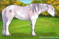 Horse Color:Watercolor White Spotted Buckskin Pearl Splash 