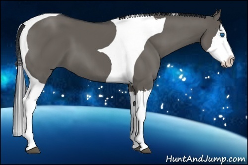 Horse Color:Grullo Splash Tobiano