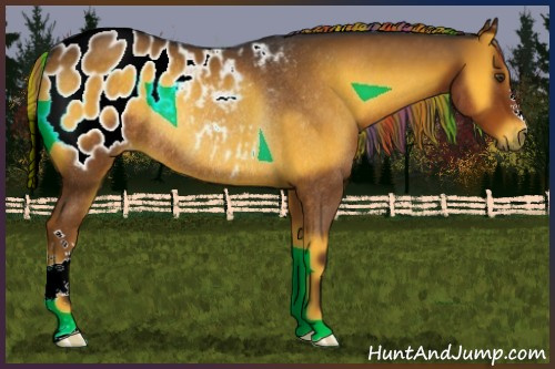 Horse Color:Gray Painted Chocolate Palomino Onyx Appaloosa Rabicano 
