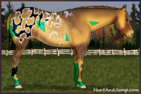 Horse Color:Gray Painted Chocolate Palomino Onyx Appaloosa Rabicano 
