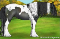 Horse Color:Black Tobiano 
