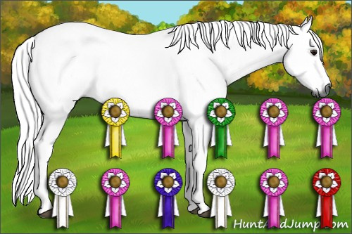 Horse Color:Gray Bay Sabino