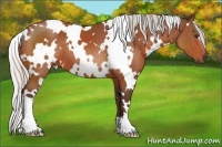 Horse Color:White Spotted Silver Brown 