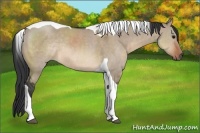 Horse Color:Brown Dun Tobiano Rabicano