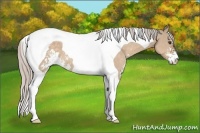 Horse Color:Silver Brown Dun Sabino Tobiano