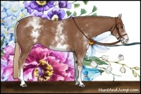 Horse Color:White Spotted Chestnut Sabino 