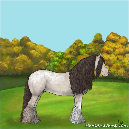 Horse Color:Classic Champagne Ice Dun
