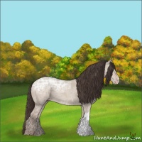 Horse Color:Classic Champagne Ice Dun