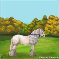 Horse Color:Silver Amber Champagne Ice Roan 