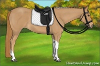Horse Color:Red Roan Tobiano