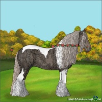Horse Color:Silver Grullo Ice Tobiano 