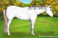 Horse Color:White Spotted Chestnut Ice Splash Tobiano 