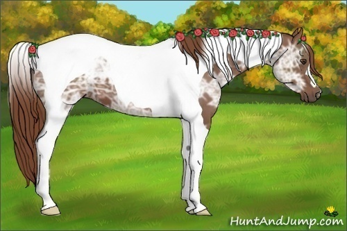 Horse Color:Chestnut Ice Tobiano 