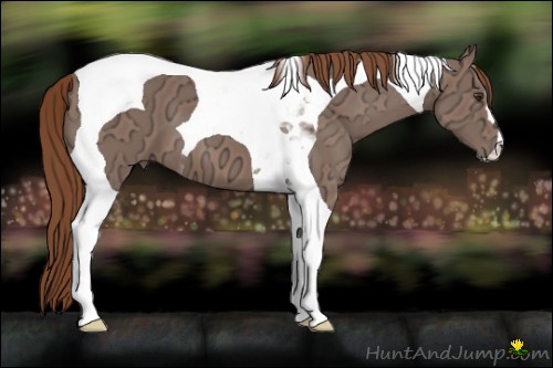 Horse Color:Chestnut Ice Tobiano 