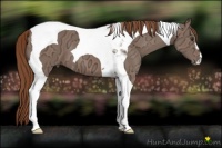 Horse Color:Chestnut Ice Tobiano