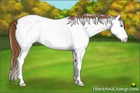 Horse Color:Chestnut Ice Splash Tobiano
