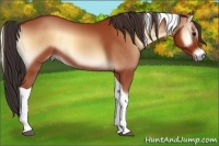 Horse Color:Brown Onyx Tobiano
