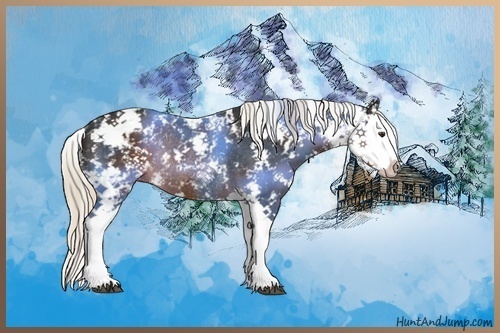 Horse Color:Liver Chestnut Sabino Splash Rabicano