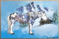 Horse Color:Liver Chestnut Sabino Splash Rabicano