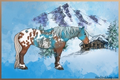 Horse Color:White Spotted Silver Bay Appaloosa Rabicano