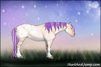 Horse Color:Painted White Spotted Silver Sable Champagne Dun Blanket Rabicano 