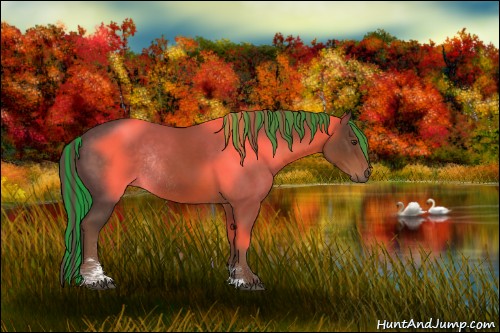 Horse Color:Painted Liver Chestnut Sabino Rabicano 