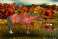 Horse Color:Painted Liver Chestnut Sabino Rabicano