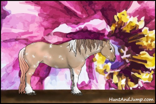 Horse Color:White Spotted Red Dun Tobiano Rabicano