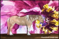 Horse Color:White Spotted Red Dun Tobiano Rabicano 